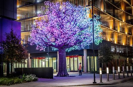 Tree of Ténéré in Dallas, Texas